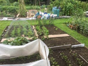 Project Allotment – an update
